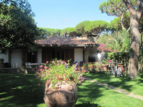 Villa Ancora